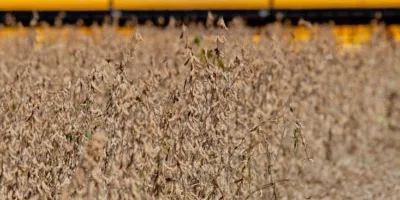 SLC Agrícola (SLCE3): Cade aprova aquisição da Terra Santa (TESA3)