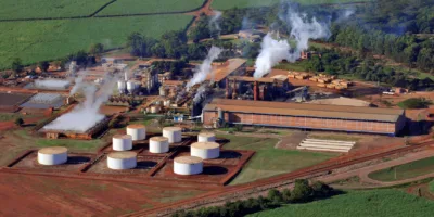 Jalles Machado (JALL3) vai distribuir dividendos de R$ 0,4426 por ação hoje