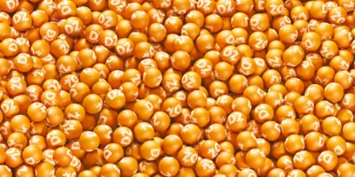 Dotz (DOTZ3) faz parceria com Foxbit e passa a oferecer resgate de pontos em Bitcoin