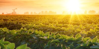 Brasilagro (AGRO3) e Vulcabrás (VULC3) distribuem dividendos nesta sexta-feira (24)