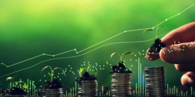 Equatorial Pará (EQPA3) vai pagar R$ 325,92 milhões em dividendos; veja o valor por ação