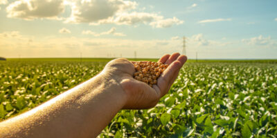 BrasilAgro (AGRO3) vende parte de fazenda na Bahia por R$ 364,5 milhões