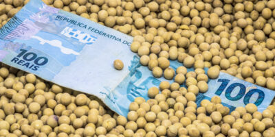 SNFZ11: Fiagro paga dividendos e fazendas iniciam preparo para próxima safra de soja