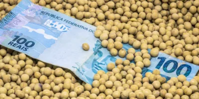 SNFZ11: Fiagro repete dividendos, com retorno mensal acima de 1%; saiba valor