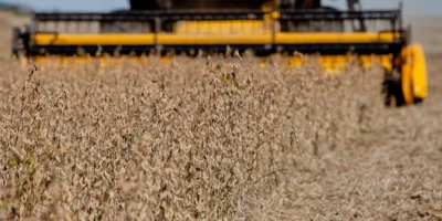 SLC Agrícola (SLCE3) divulga projeções da safra 2025/2026; BBA avalia guidance