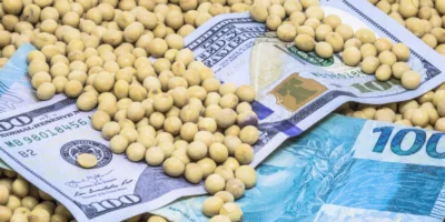 SNAG11 aumenta dividendos para valor recorde em sua história, com yield de 1,35% ao mês