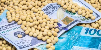 SNAG11 renova máxima e se fortalece como fonte de crédito para o agronegócio