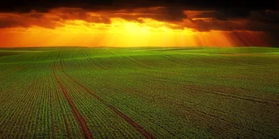 OIAG11 reforça atuação em crédito e mantém reserva para distribuição de dividendos