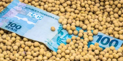 SNAG11 eleva dividendo para R$ 0,20 por cota em fevereiro