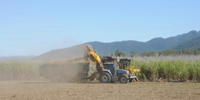 São Martinho (SMTO3): BTG e BBA projetam alta acima de 100%, mas com ressalvas