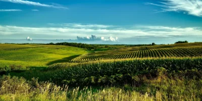 SNFZ11 anuncia R$ 0,10 por cota e reforça tese no agro