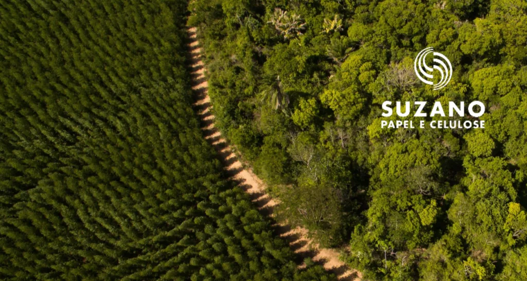 Suzano (SUZB3) quer reduzir dívida a US$ 11 bilhões e prevê dividendo mínimo; entenda o plano