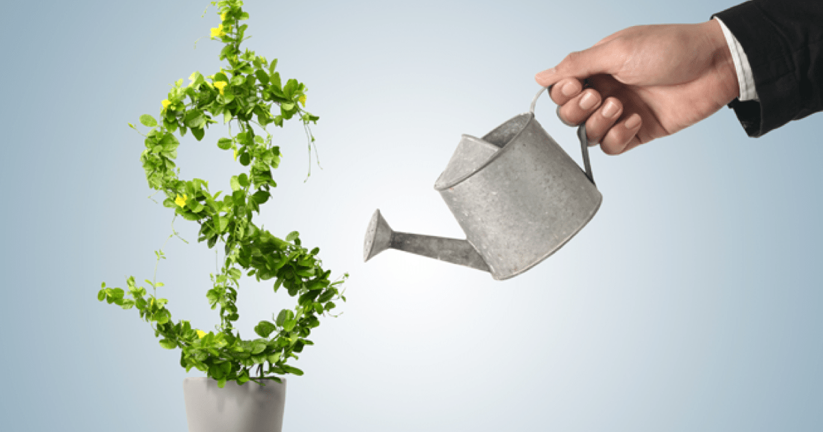 Guia de investimentos: quais as principais opções para você investir?