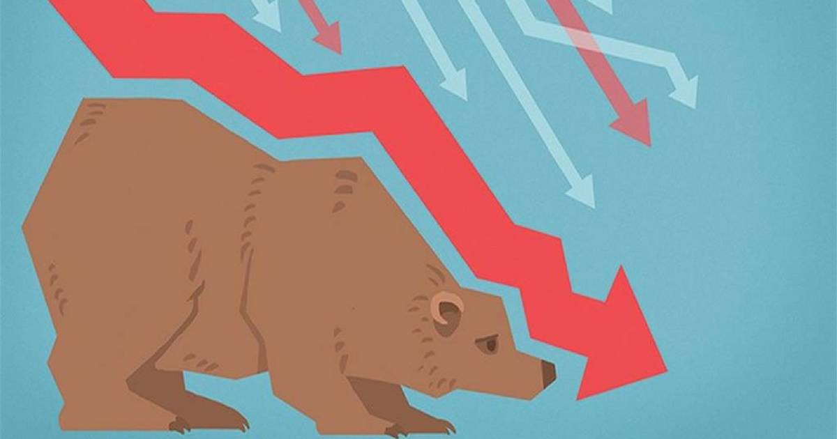 bear bookbolsa