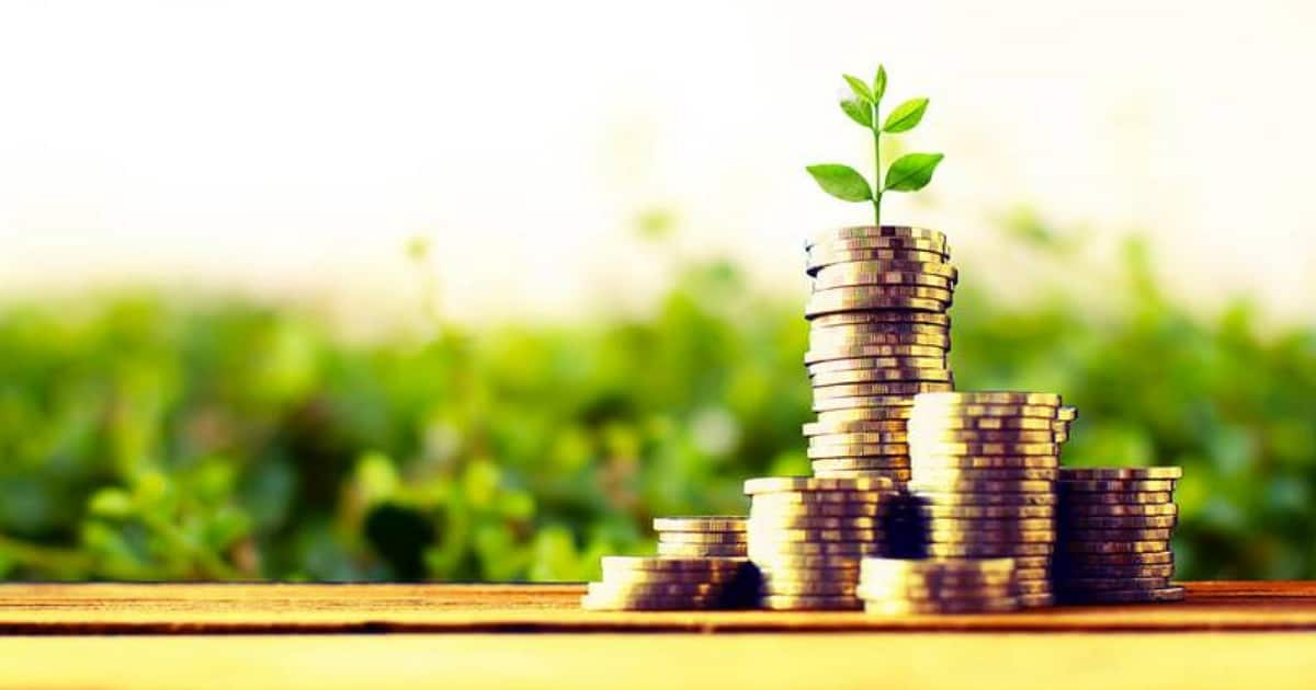 Patrimônio líquido: entenda o que é e como analisar esse indicador