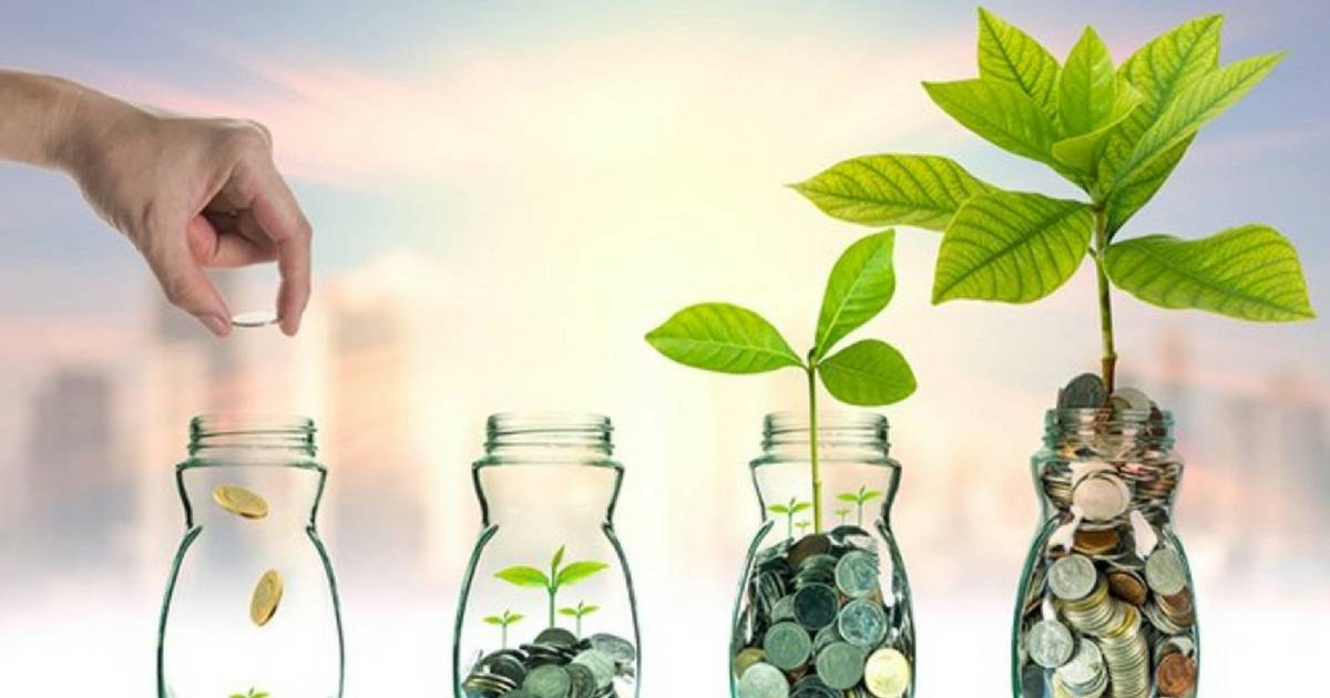 Saiba como começar a investir com pouco dinheiro