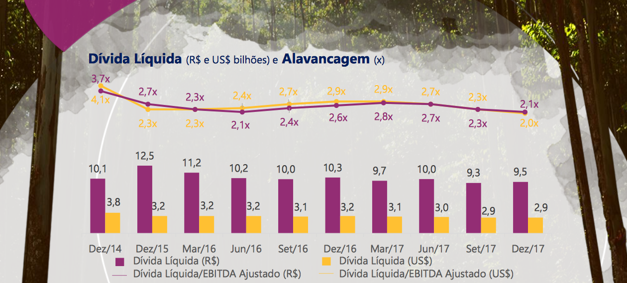 Endividamento Suzano