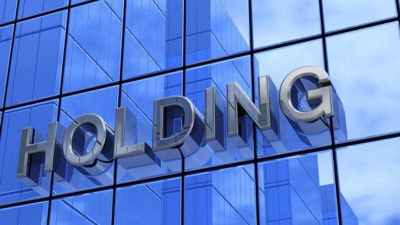 O que é uma holding? Entenda como atua esse tipo de empresa