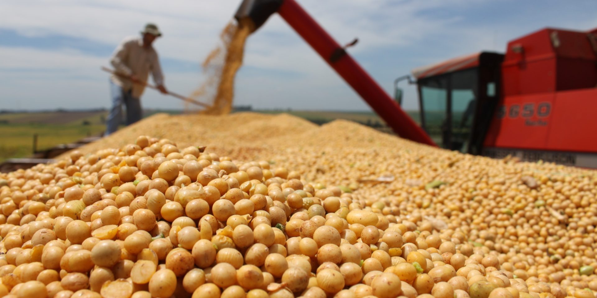 Ações Agronegócio B3
