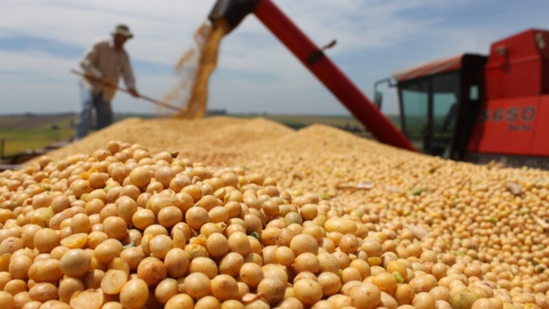 Commodities agrícolas: Uma grande potência econômica no Brasil