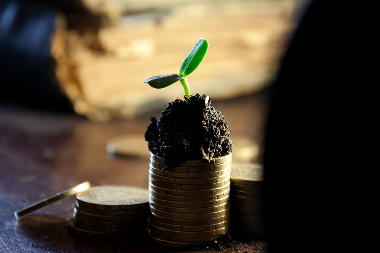 Lucratividade: como saber se uma empresa vale a pena