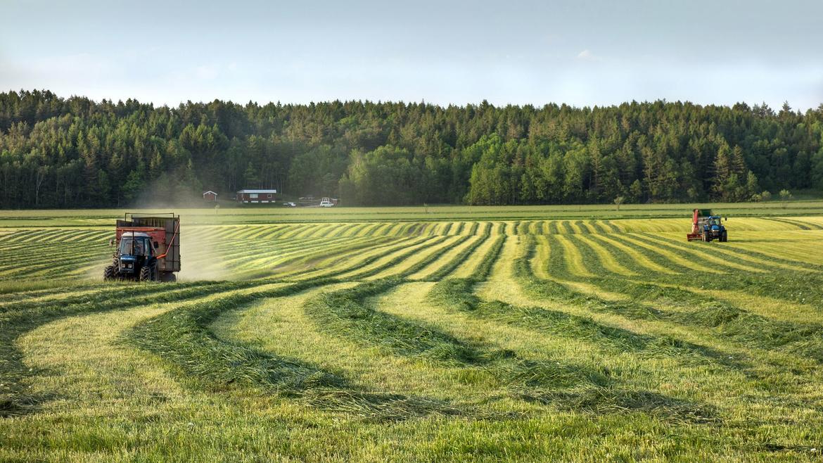 Títulos da Dívida Agrária (TDA): o que são? Entenda como eles funcionam