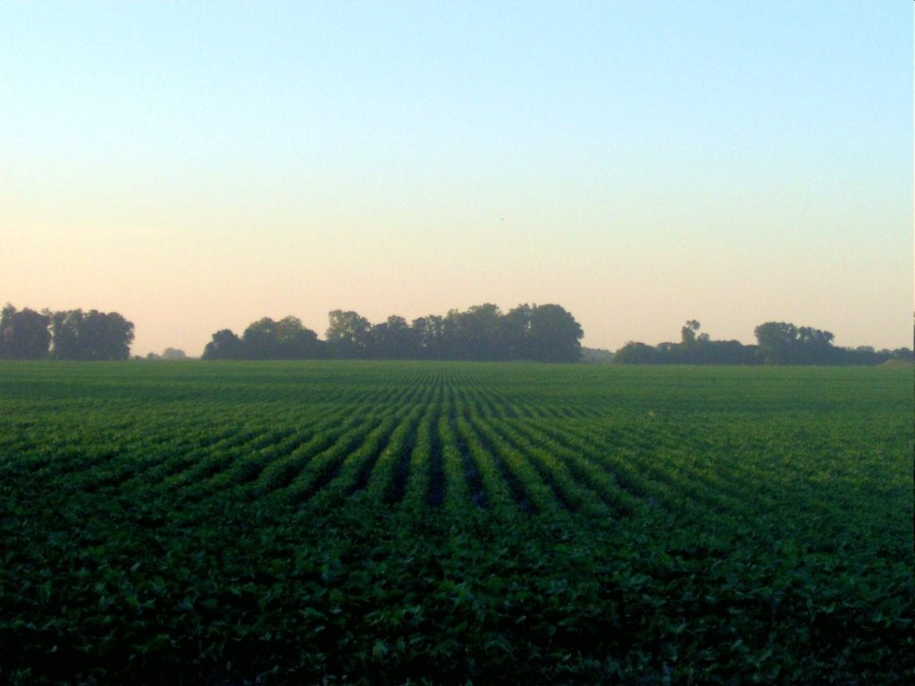 Conheça os principais indicadores agropecuários do mercado brasileiro