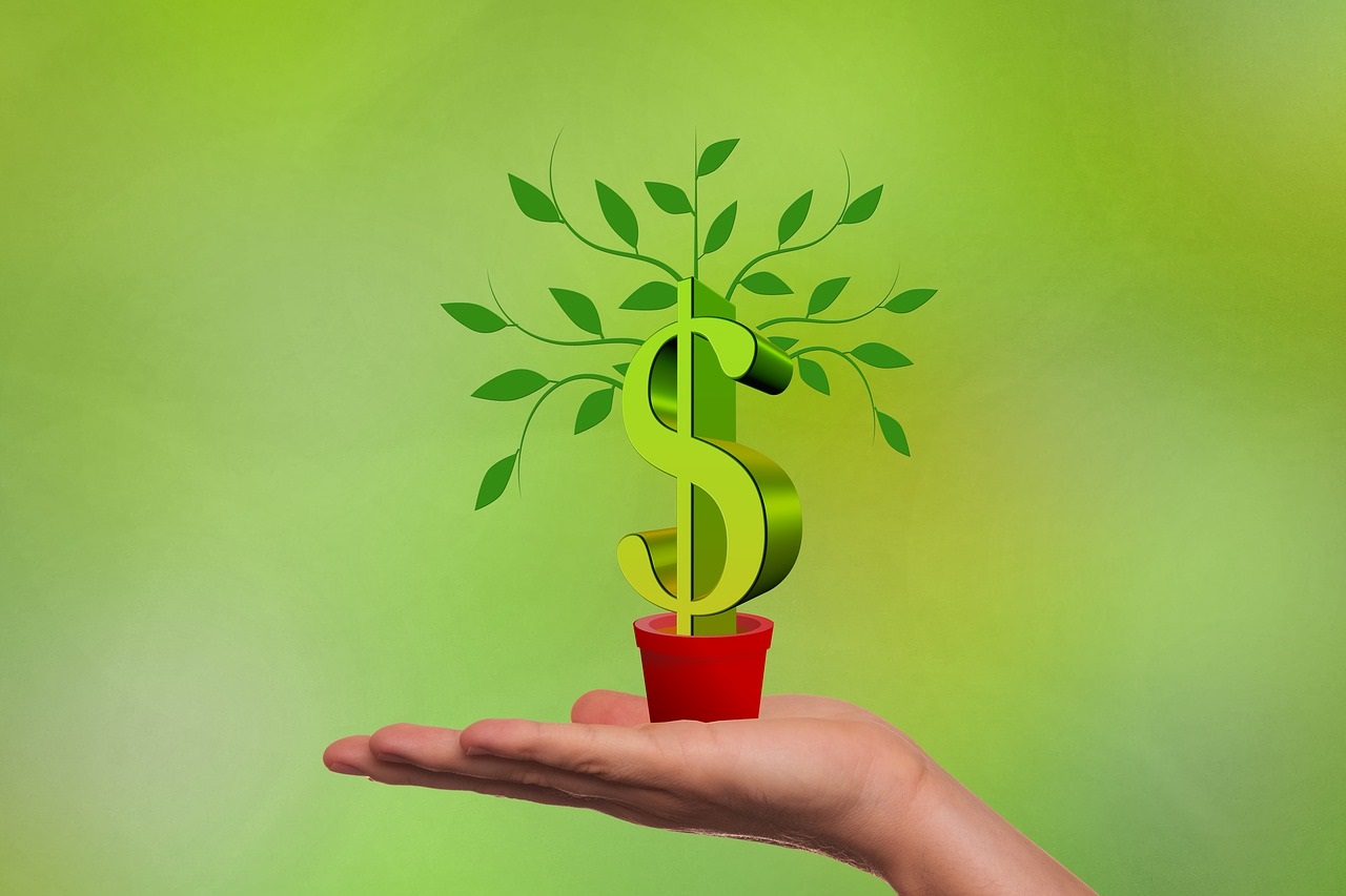 Rendimento Bruto: o que significa essa rentabilidade?