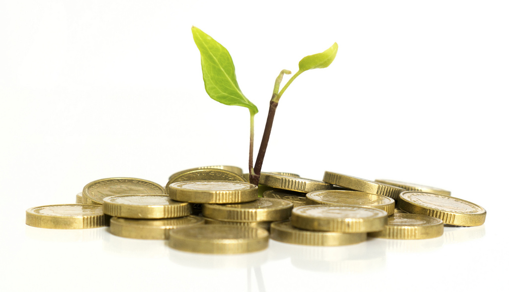 O que é capital semente e qual sua importância no financiamento de novas empresas?