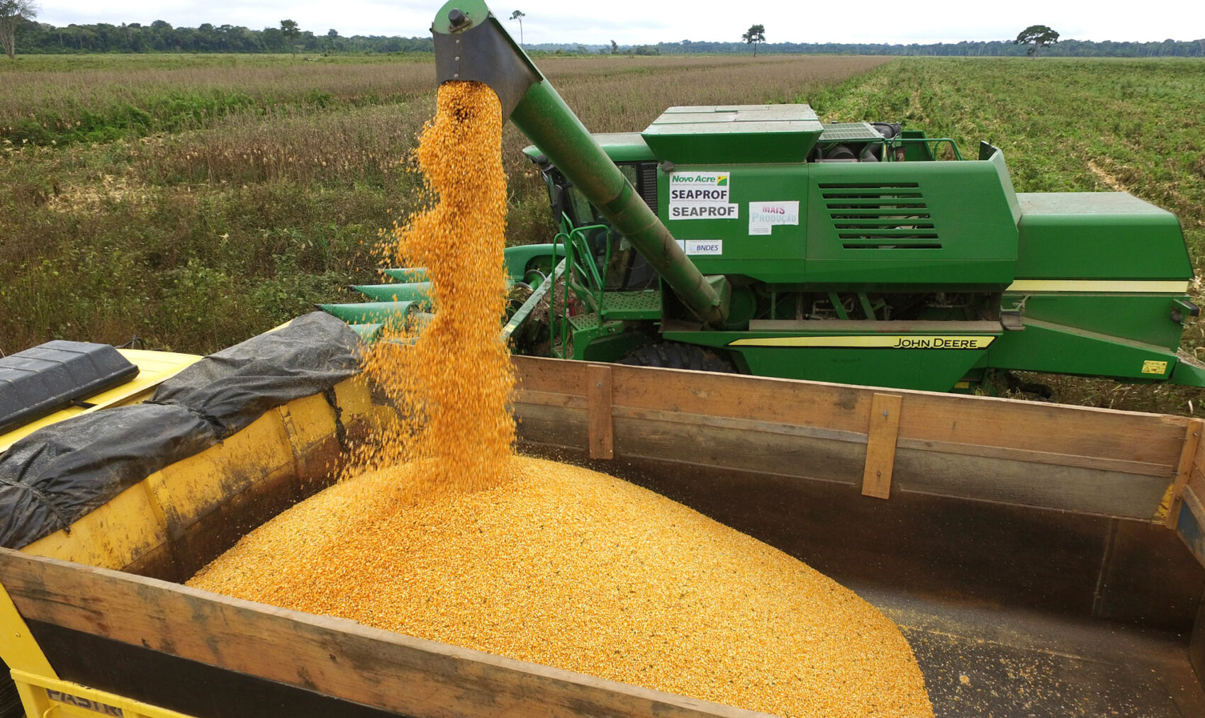 Crédito agrícola: entenda como funciona essa linha de crédito