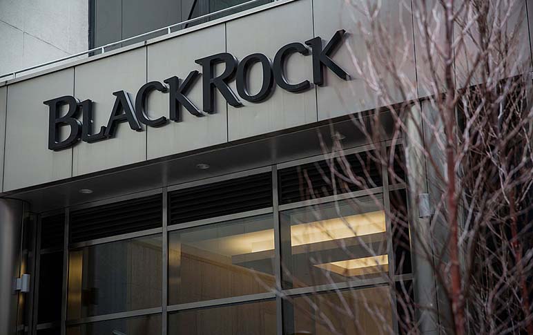 Por que eu acho a BlackRock interessante?