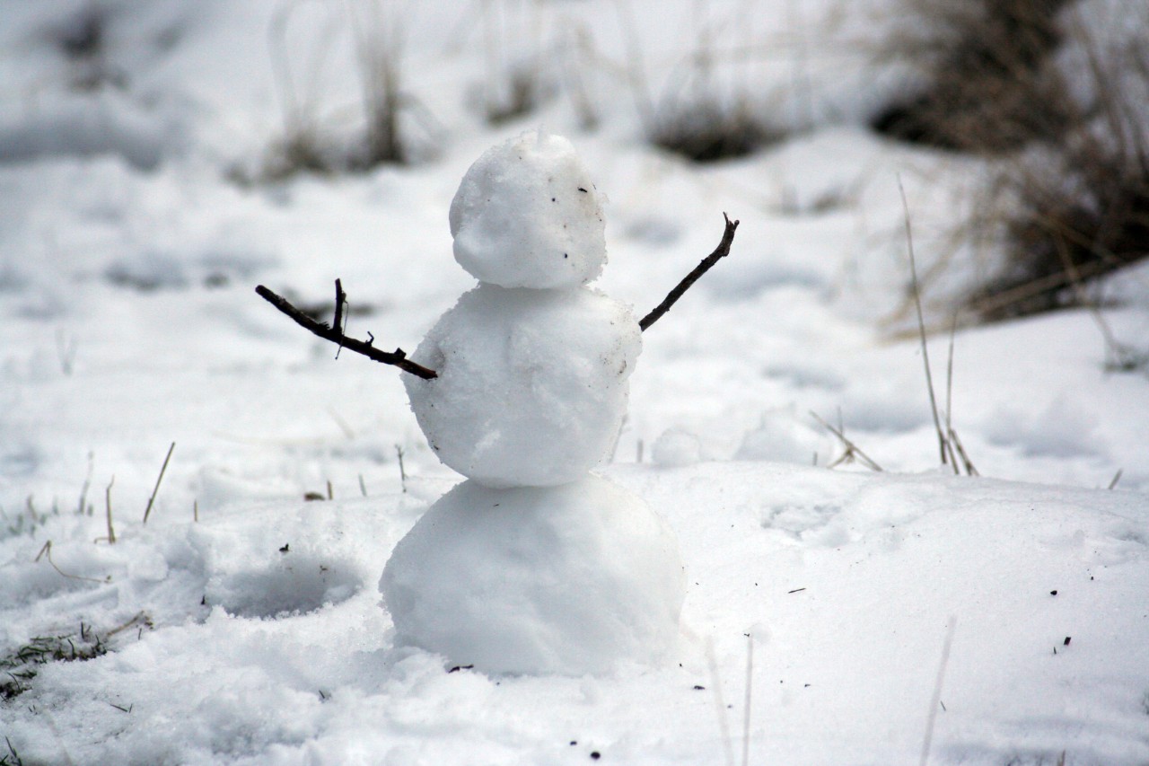 Método bola de neve: conheça essa estratégia para quitar dívidas