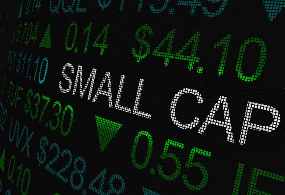 EWZS: conheça o ETF brasileiro de Small Caps negociado nos EUA