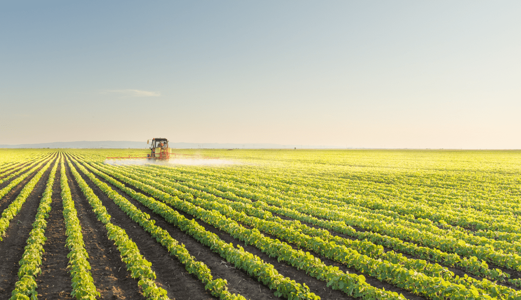LCA: como investir em uma Letra de Crédito do Agronegócio?