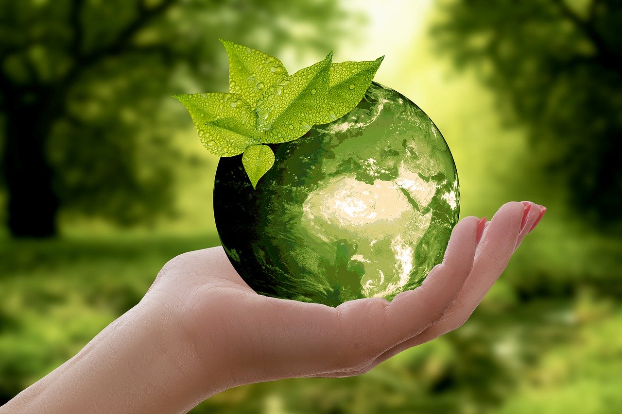 ESG: conheça essa sigla e como ela impacta o mercado financeiro