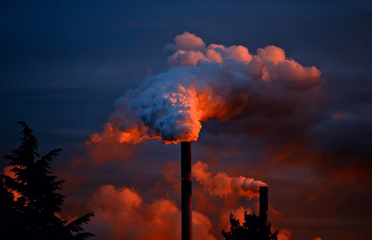 Crédito de descarbonização: entenda o que é e como funciona o CBIO