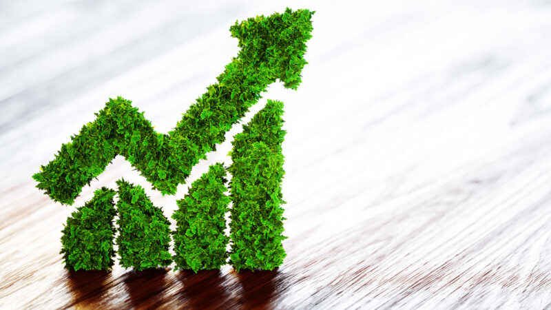 ESG Index: saiba o que são e como funcionam os índices ESG