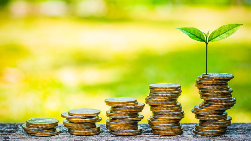 ESGB11: saiba mais sobre o ETF de ações ESG do BTG Pactual