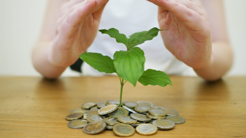 Forward guidance: entenda como funciona esse mecanismo econômico