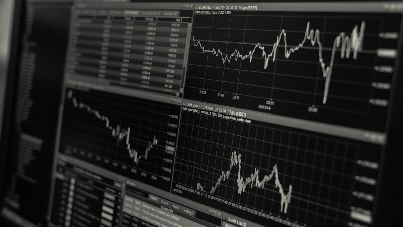 Como declarar opções no imposto de renda? Descubra agora